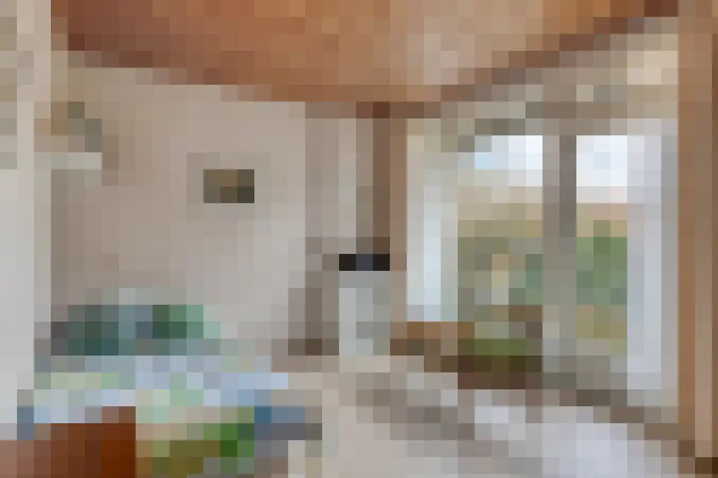 Ambrosiusweg 31 Waalwijk thumbnail 38