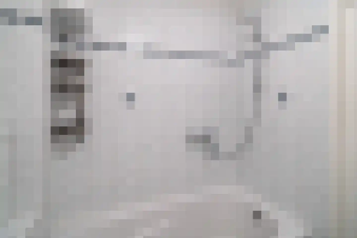 Ambrozijnberg 133 Roosendaal thumbnail 24