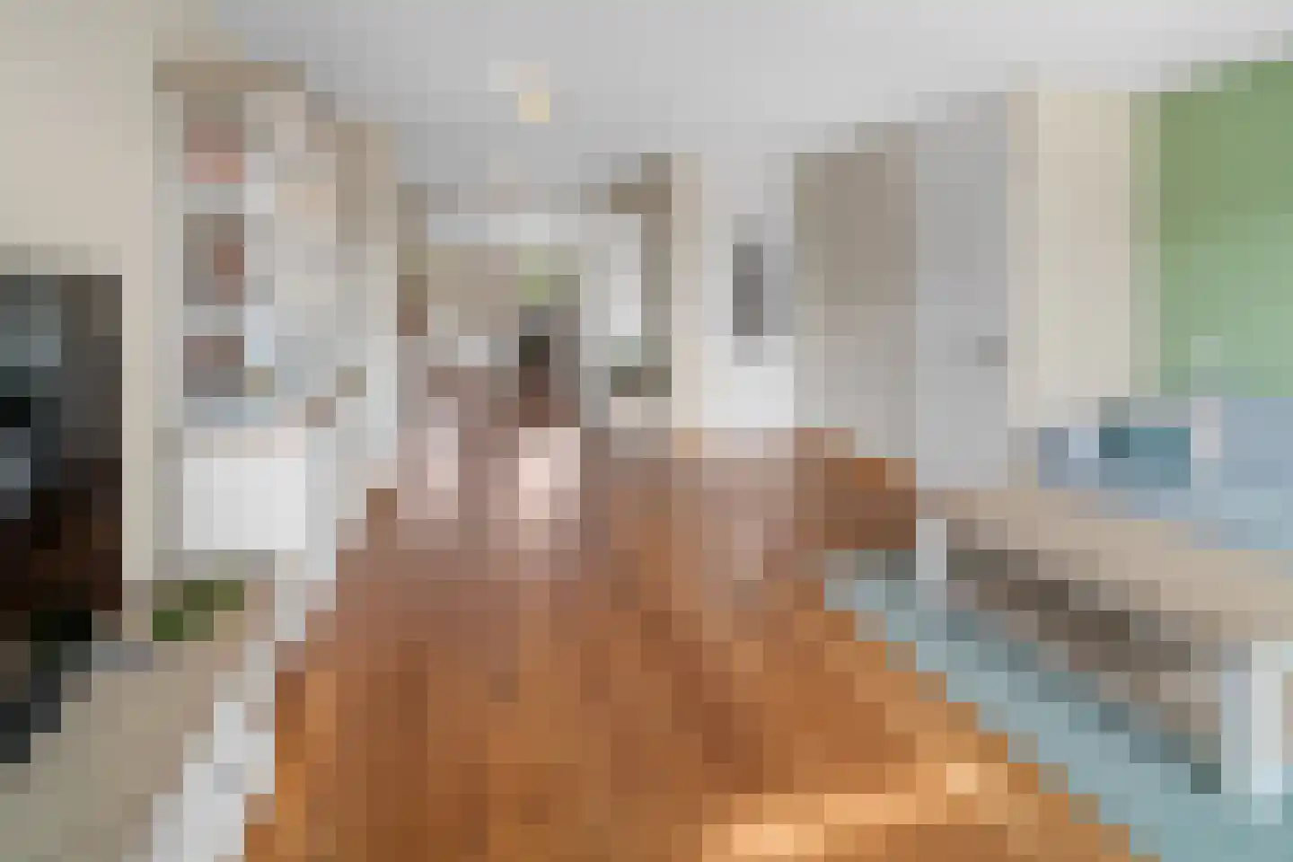 Ambrozijnberg 133 Roosendaal thumbnail 8