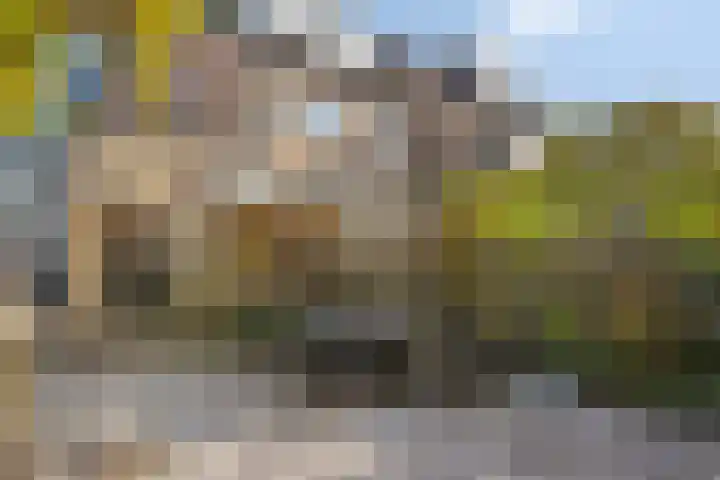 Ambrozijnberg 29 Roosendaal thumbnail 33