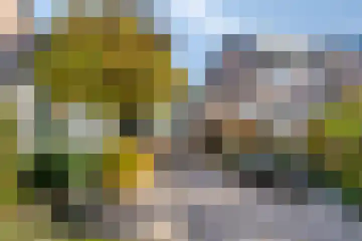 Ambrozijnberg 29 Roosendaal thumbnail 34