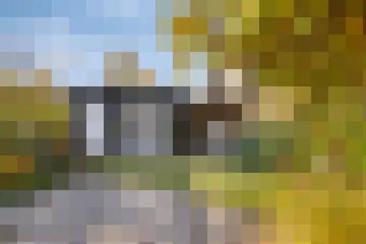 Ambrozijnberg 29 Roosendaal thumbnail 35