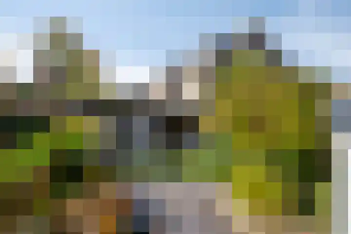 Ambrozijnberg 29 Roosendaal thumbnail 37