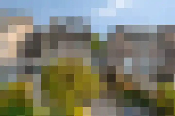 Ambrozijnberg 29 Roosendaal thumbnail 38