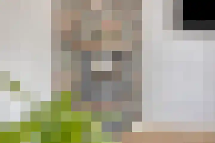 Ambrozijnberg 29 Roosendaal thumbnail 6