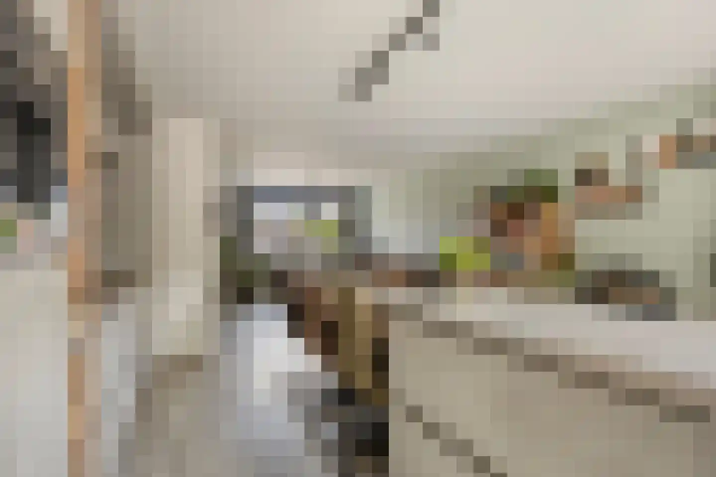 Ambrozijnberg 354 Roosendaal thumbnail 11