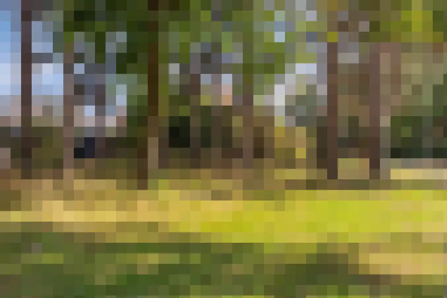 Ambrozijnberg 354 Roosendaal thumbnail 35