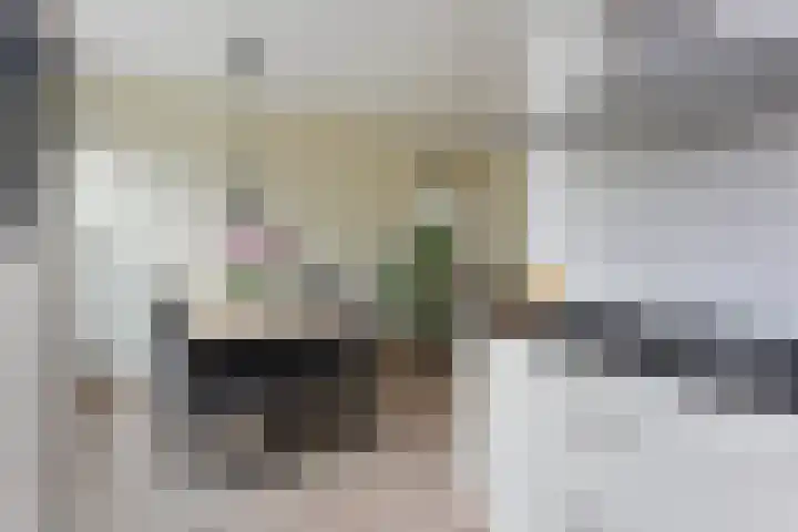 Ambroziolaan 13 Nieuwveen thumbnail 10