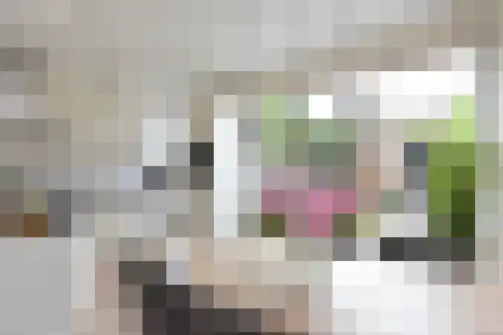 Ambroziolaan 13 Nieuwveen thumbnail 11