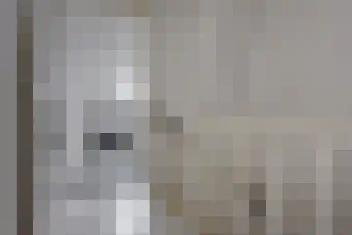 Ambroziolaan 13 Nieuwveen thumbnail 27