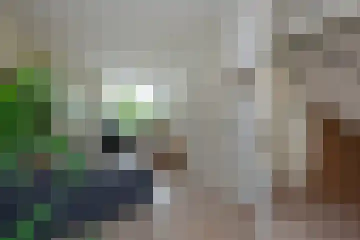 Ambroziolaan 13 Nieuwveen thumbnail 9