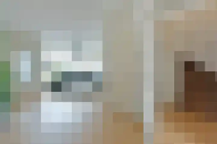 Ambroziolaan 25 Nieuwveen thumbnail 11