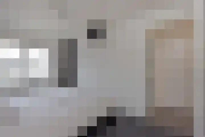 Ambroziolaan 25 Nieuwveen thumbnail 15