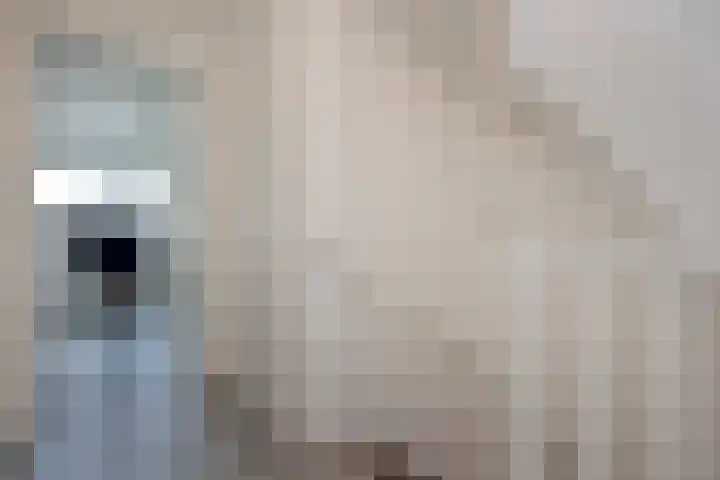Ambroziolaan 25 Nieuwveen thumbnail 20