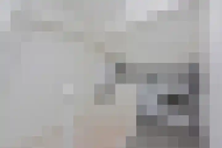 Ambroziolaan 25 Nieuwveen thumbnail 23