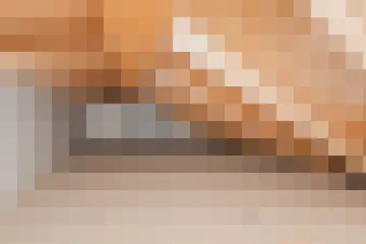 Ambt. Dorknoperlaan 3 Almere thumbnail 24