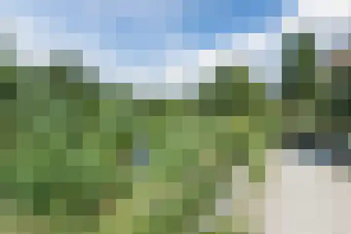 Ambt. Dorknoperlaan 3 Almere thumbnail 31