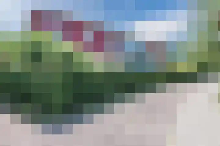 Ambt. Dorknoperlaan 3 Almere thumbnail 6