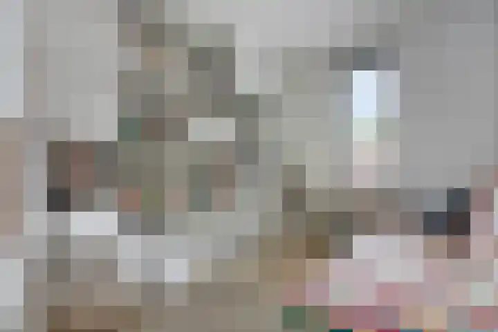 Ambt. Dorknoperlaan 33 Almere thumbnail 18