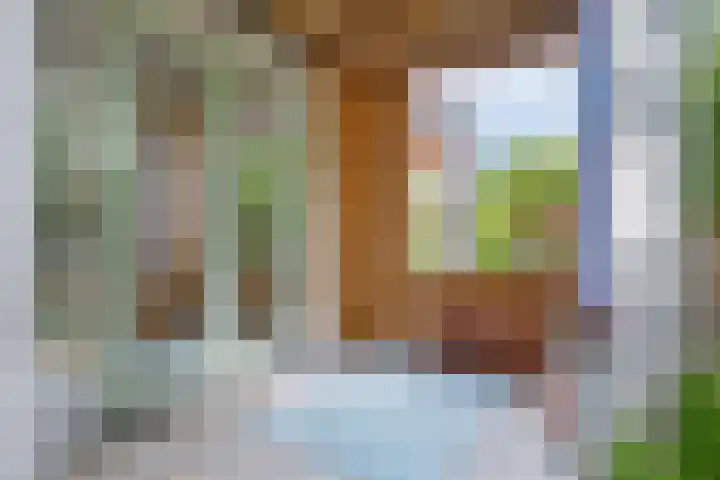 Ambt. Dorknoperlaan 33 Almere thumbnail 23