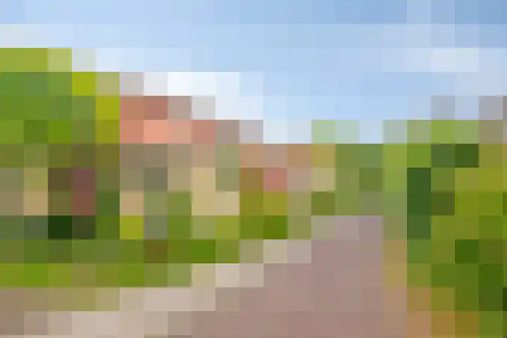 Ambt. Dorknoperlaan 33 Almere thumbnail 27