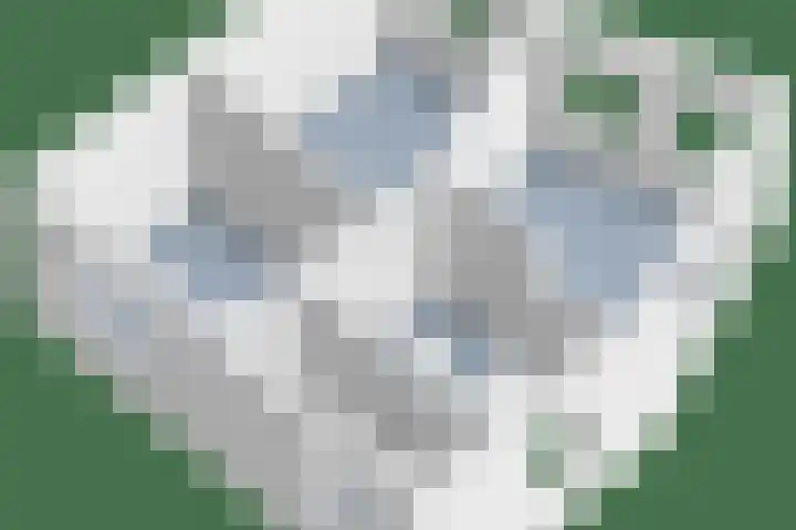 Ambt. Dorknoperlaan 33 Almere thumbnail 35