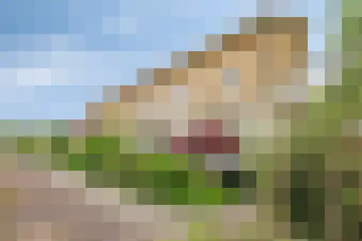 Ambt. Dorknoperlaan 33 Almere thumbnail 4