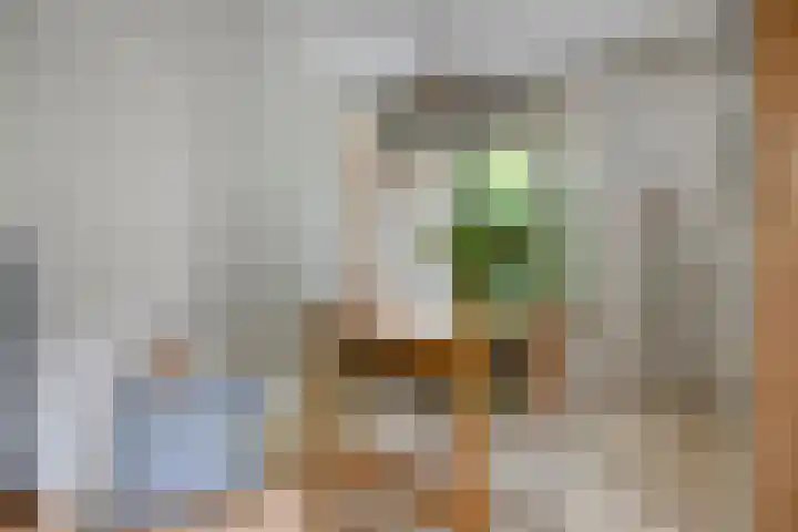 Ambt. Dorknoperlaan 33 Almere thumbnail 8