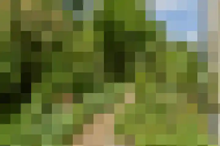 Ambt. Dorknoperlaan 65 Almere thumbnail 13