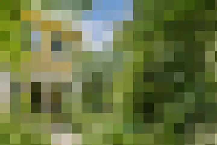 Ambt. Dorknoperlaan 65 Almere thumbnail 14