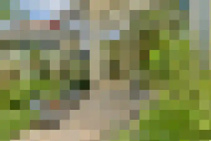 Ambt. Dorknoperlaan 65 Almere thumbnail 15