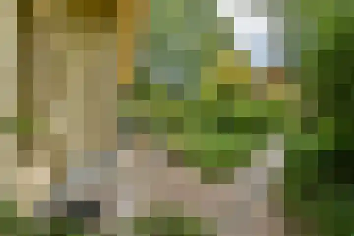 Ambt. Dorknoperlaan 65 Almere thumbnail 28