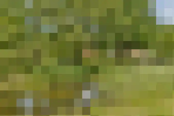 Ambt. Dorknoperlaan 65 Almere thumbnail 31