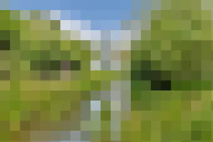 Ambt. Dorknoperlaan 65 Almere thumbnail 32