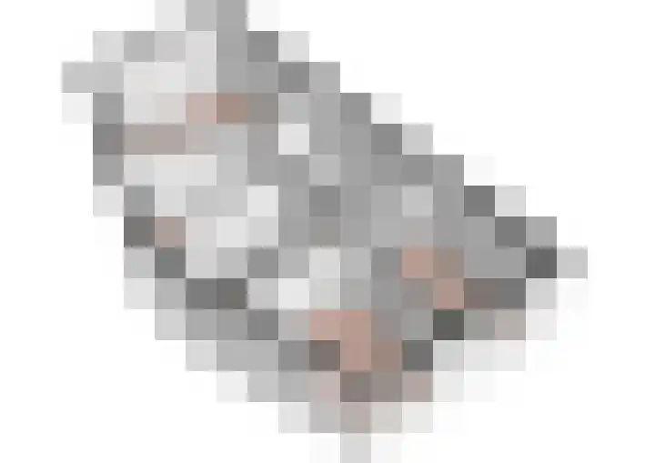 Ambt. Dorknoperlaan 65 Almere thumbnail 39