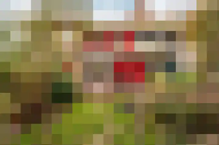 Ambt. Dorknoperlaan 69 Almere thumbnail 27