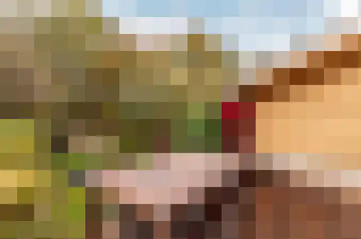 Ambt. Dorknoperlaan 69 Almere thumbnail 30