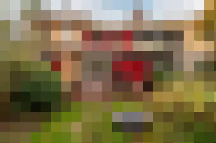 Ambt. Dorknoperlaan 69 Almere thumbnail 4