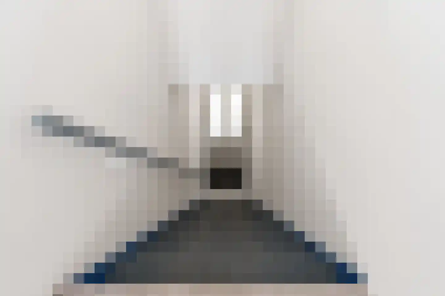 Ambtmanstraat 18 a Tiel thumbnail 13