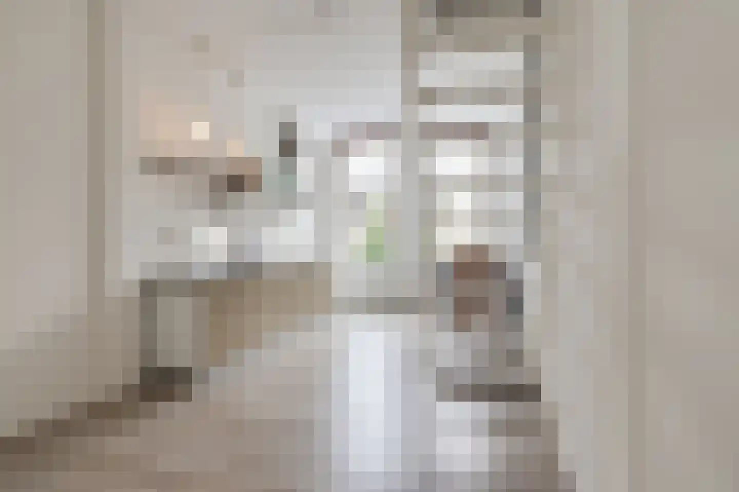 Ambtmanstraat 18 a Tiel thumbnail 7