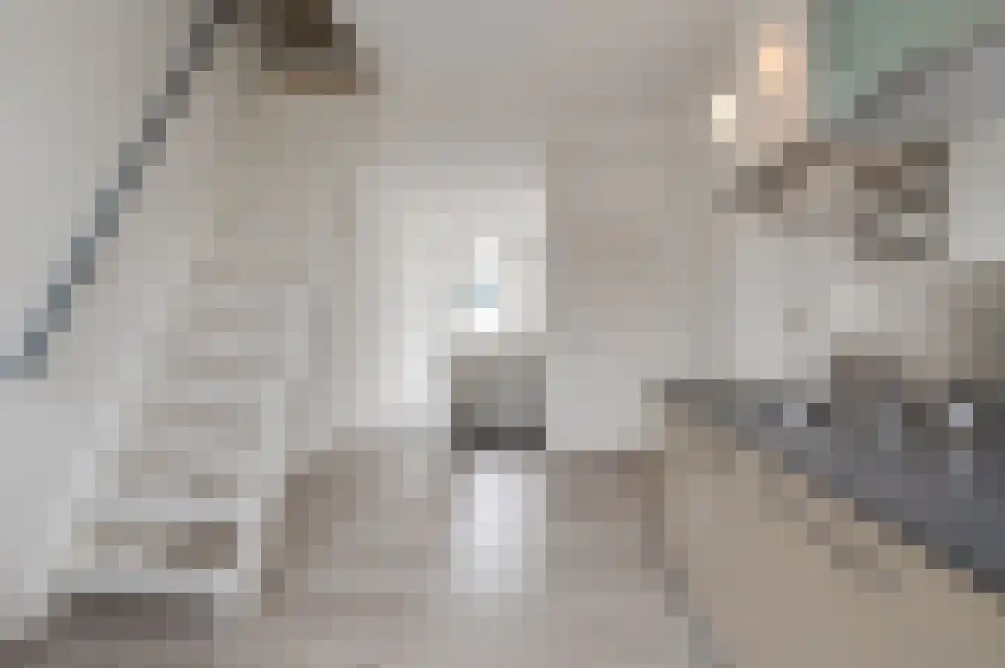 Ambtmanstraat 18 a Tiel thumbnail 9