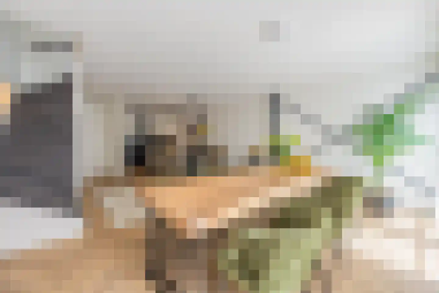 Ambtmanstraat 2 Tiel thumbnail 14