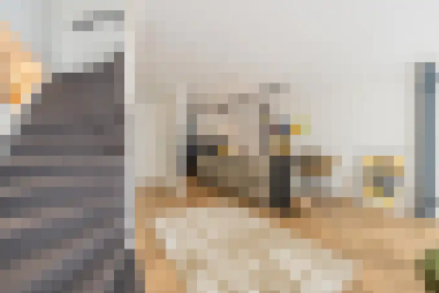 Ambtmanstraat 2 Tiel thumbnail 15