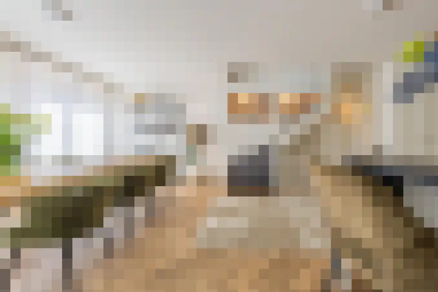 Ambtmanstraat 2 Tiel thumbnail 18