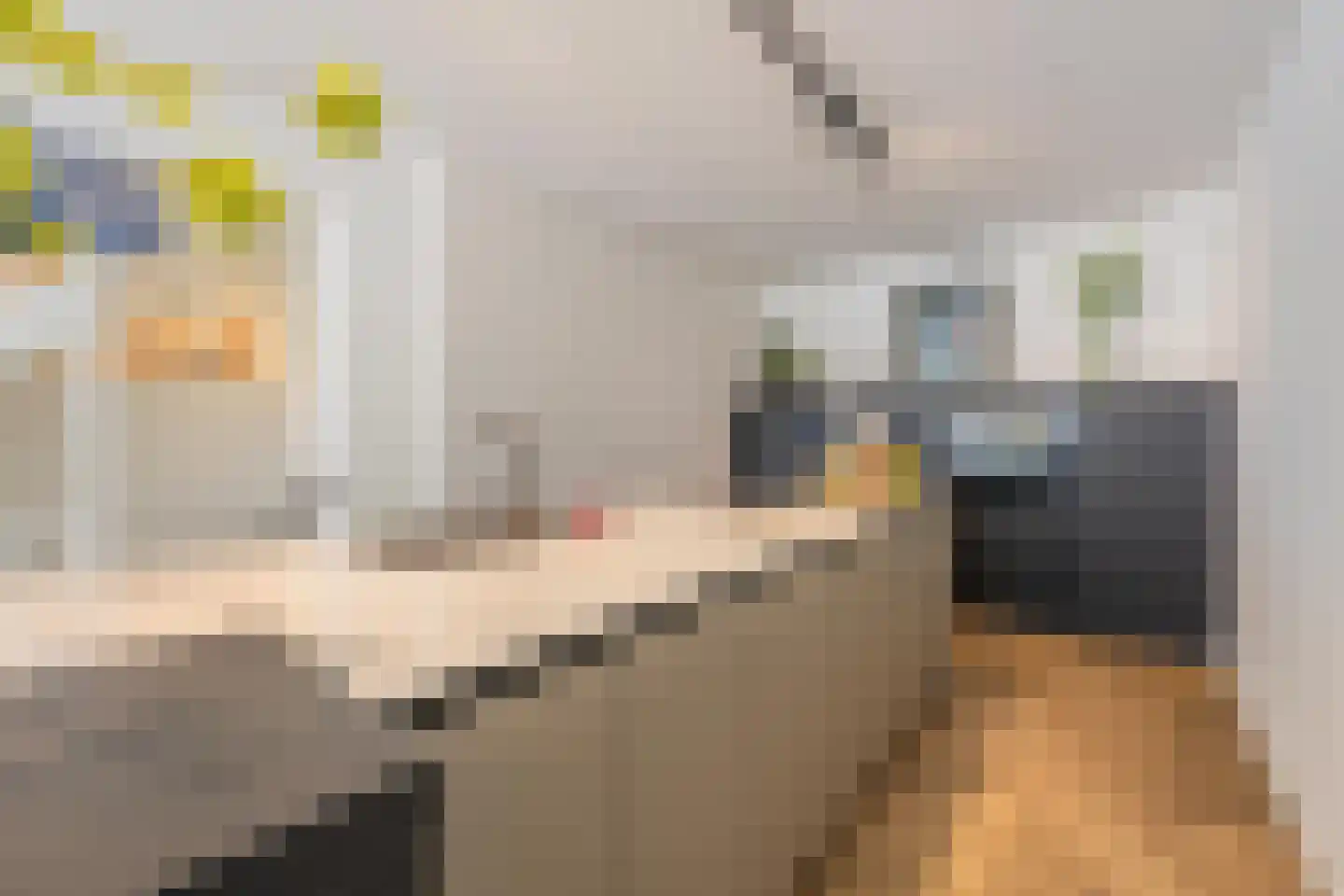 Ambtmanstraat 2 Tiel thumbnail 23
