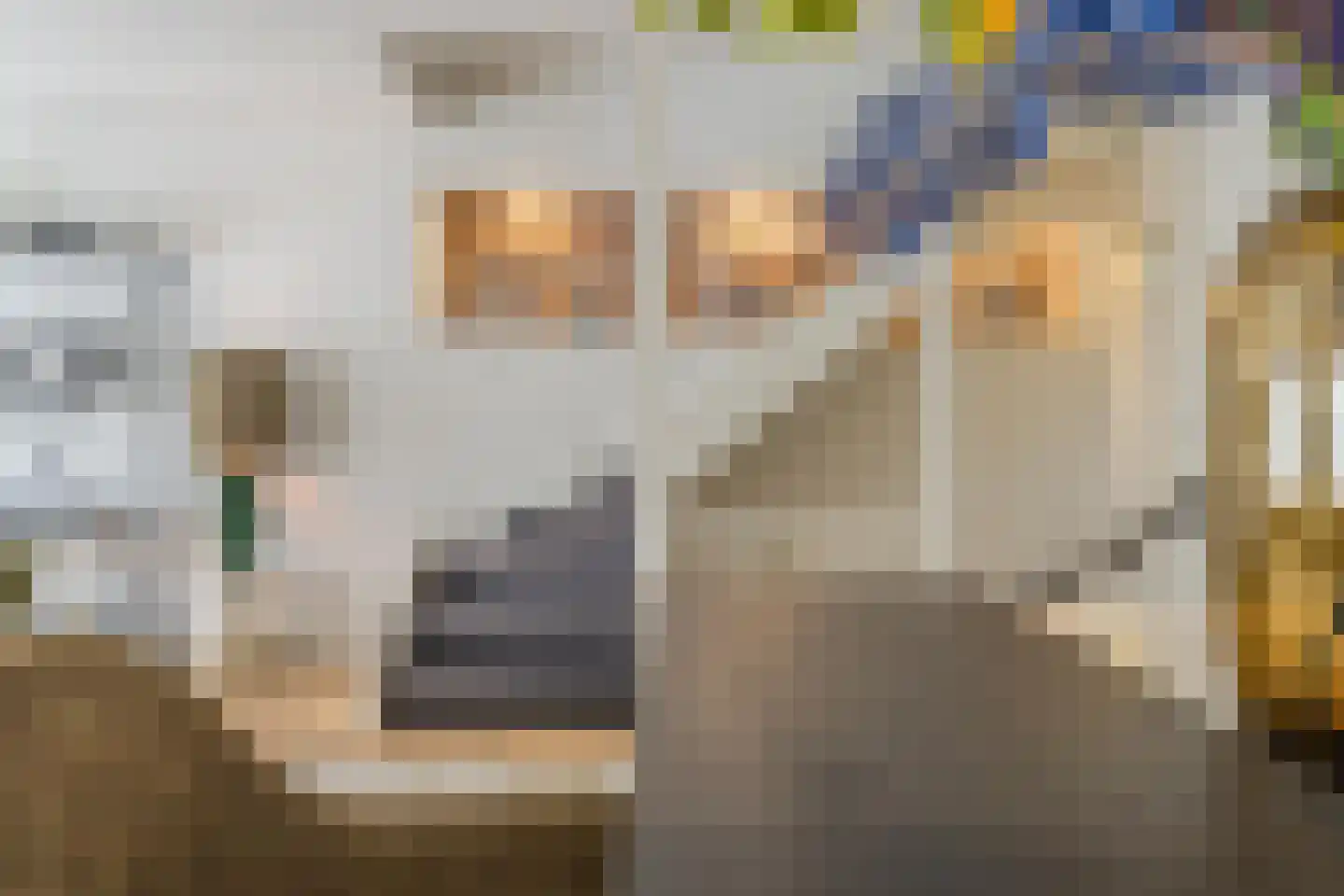 Ambtmanstraat 2 Tiel thumbnail 24
