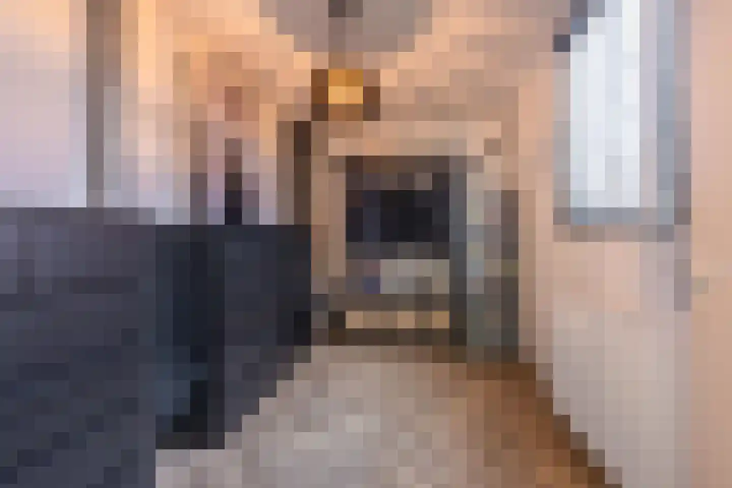 Ambtmanstraat 2 Tiel thumbnail 38