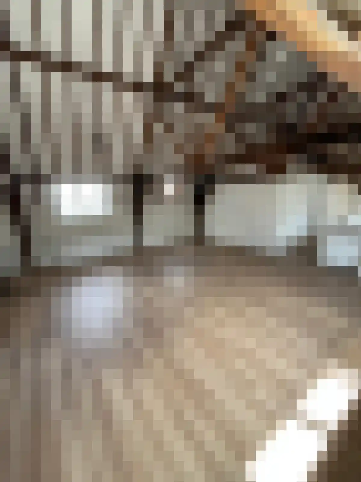 Ambtmanstraat 9 e Tiel thumbnail 19