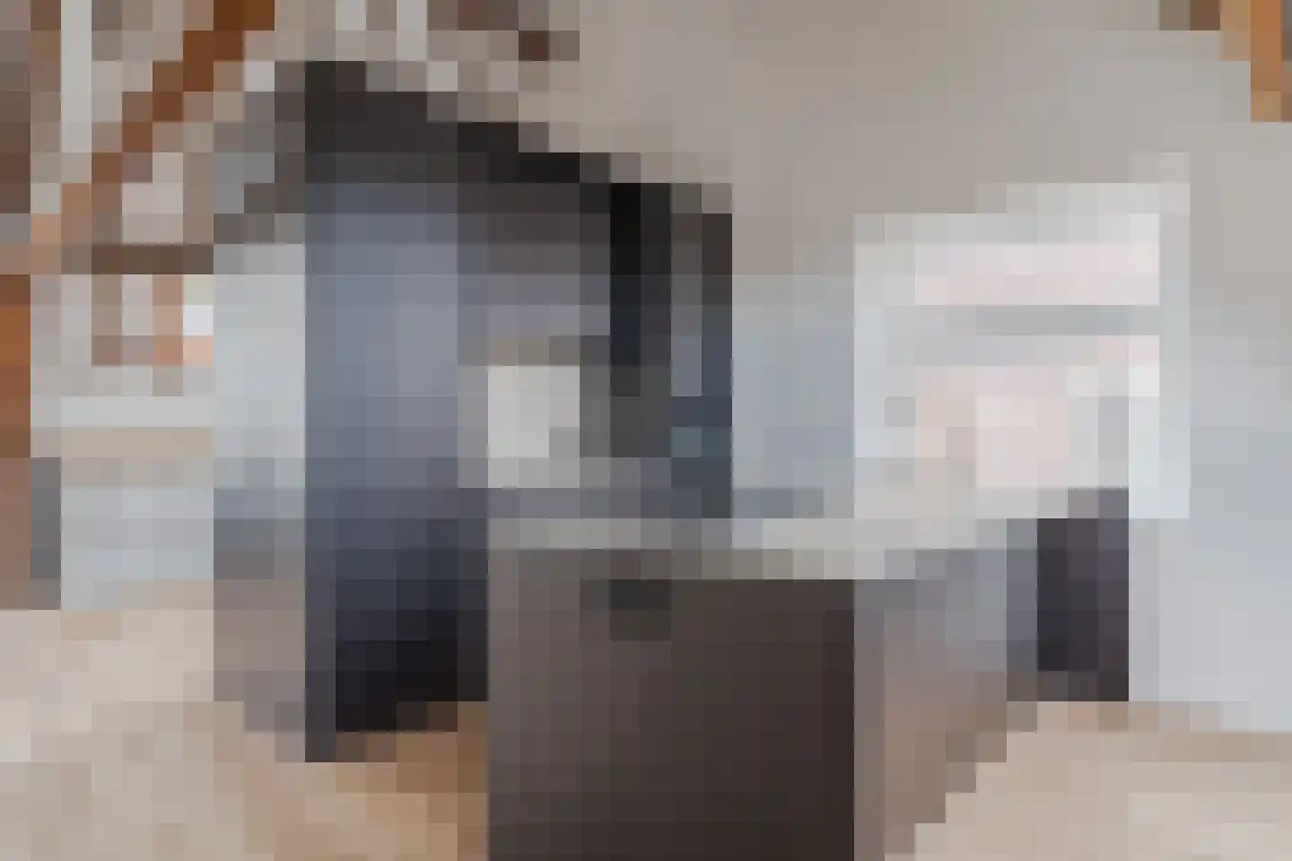 Ambtmanstraat 9 e Tiel thumbnail 25
