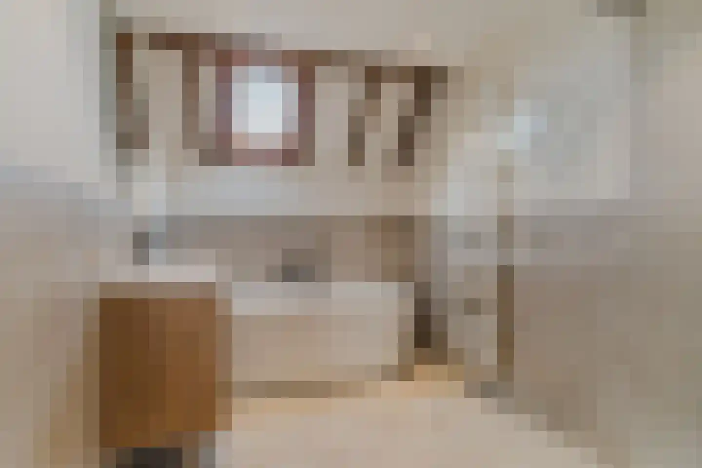 Ambtmanstraat 9 e Tiel thumbnail 30